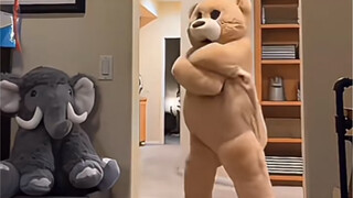 Look! A mesmerizing dancing bear, hahaha!