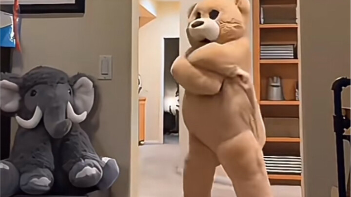 انظر! دب يرقص بشكل مسحور ههههه