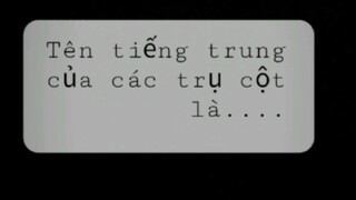 Tên tiếng trung của các trụ cột là gì? ( em thực sự thích tên hoa lưu luyến của chị mít)