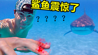 鲨鱼...已经...无所谓了...《最 骚 营 销 号 12》