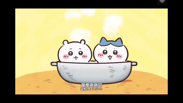 宝宝！你们要被吃掉了啦！！不可以吃世界上最可爱的宝宝！！