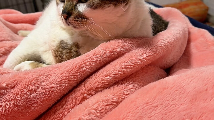 อันที่จริงฉันยังได้ชิมเบอร์เกอร์หนึ่งอันด้วยนะ ตั้งใจจะเก็บไว้กินเองตอนเย็น แต่ถ้าเธอทำแบบนี้กับฉัน 