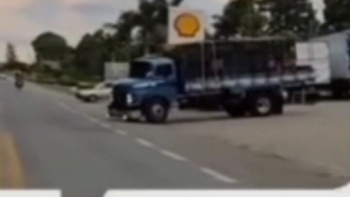 🚛🐕