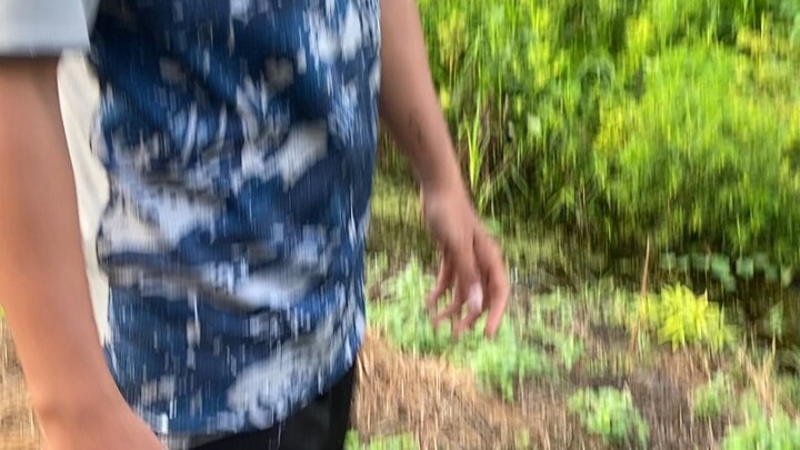 Gak Nyangka! Dapat Ikan Sebesar Ini! 😱🎣