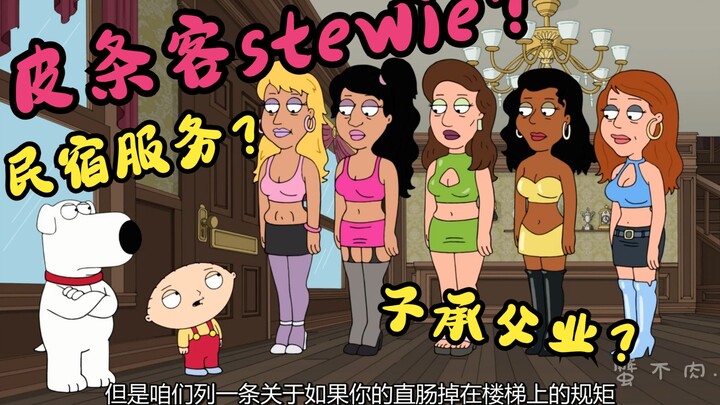 恶搞之家：子承父业皮条客stewie？饺子是懂经营民宿服务的？