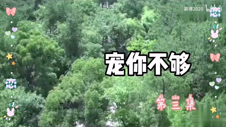 （剧版/羡忘）ABO  重生之宠你不够 03