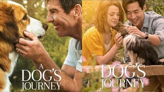 A Dogs Journey