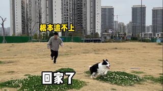 ความแตกต่างระหว่างเลี้ยงสุนัขตัวใหญ่กับเลี้ยงสุนัขตัวเล็ก