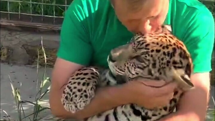 Holding my leopard pillow～