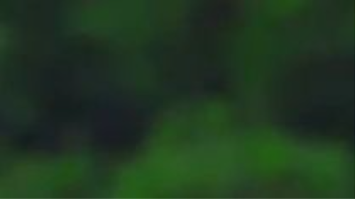 LMCFS s2e01