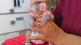 So adorable when Mom takes tiny adorable Luca looking outside with the fresh air & refreshing