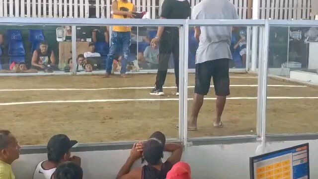 bulik binabae win pila colisium