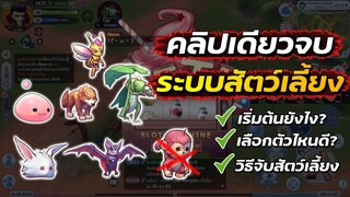 คลิปเดียวจบ ระบบสัตว์เลี้ยง | Ragnarok x next generation