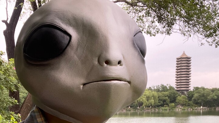 Arriving at a World-Class University, the Platinum University