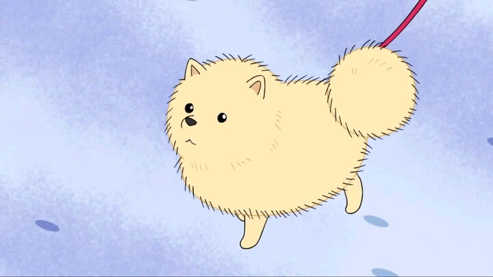 maruko ingin anjing