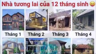 nhà tương lại của 12 tháng sinh