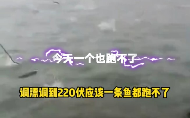 ปลา: ข้างซ้ายข้างขวาล้วนเป็นฟ้าผ่าช่วยฉัน ไฟ 220 โวลต์ไม่ช็อตฉันที่ 250 โวลต์