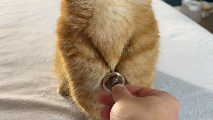 Không sao đâu, không sao đâu, có gì cứ thoải mái hỏi nhé!