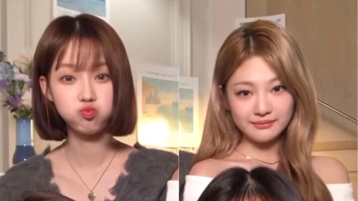 【aespa】فرق درجة الحرارة في محادثة الشقيقة على لاين