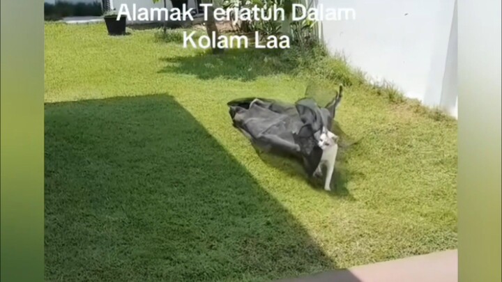Proyek mangkrak🗿