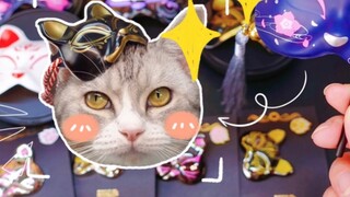 Membeli kotak buta topeng kucing Lago untuk bosku! Saya tidak menyangka ada begitu banyak cara untuk