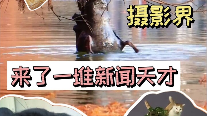 لتقريب العلم، احتجنا إلى 8 حلقات لفهمه تمامًا.