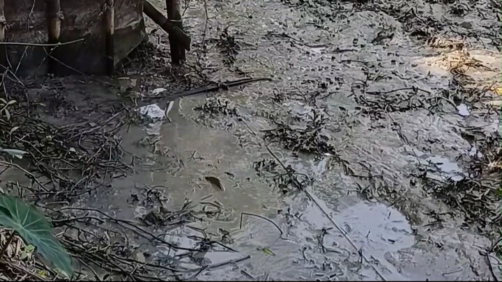 অন্তরের পথ ধইরা চলি সে পথ ফুরায় না রে