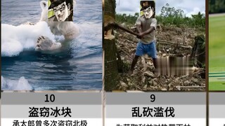 承太郎都做过哪些坏事？