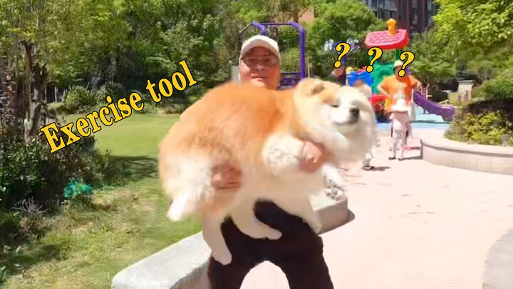 [Hewan] Olahraga Bersama Anjing