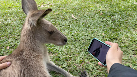 Let’s Show KUN to the Cheese Kangaroos in Oz!