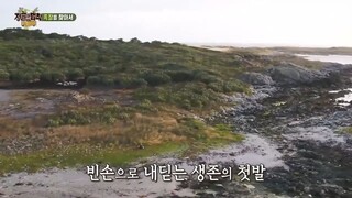 Law of the Jungle in Chatham Islands 2019 [1] SUB INDO