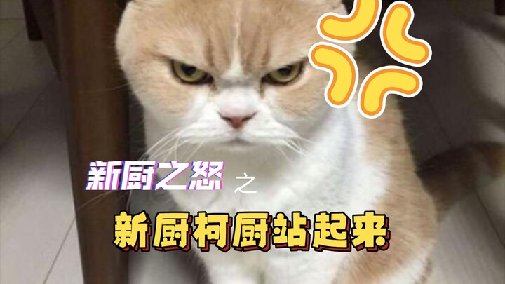 【名侦探柯南】新厨柯厨站起来