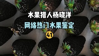 【水果猎人】网络热门水果鉴定41