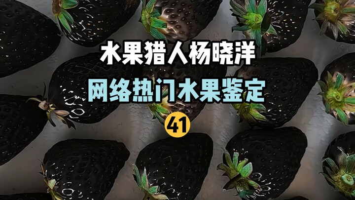 【水果猎人】网络热门水果鉴定41