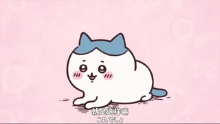 【chiikawa】| 再看一遍发现早期小八这么E，这是在干什么呀哈哈