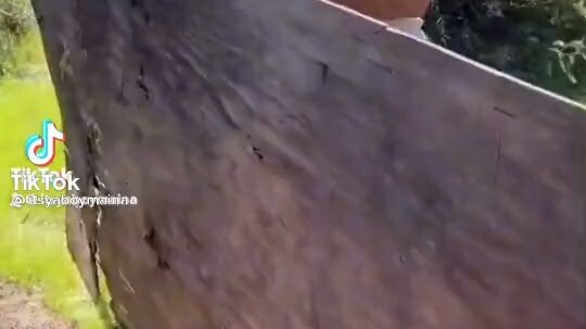 Warning ⚠️: don't watch this video plsssss