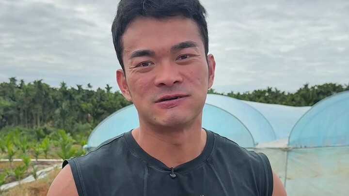 Tại sao bánh chưng ở Hải Nam lại to vậy?