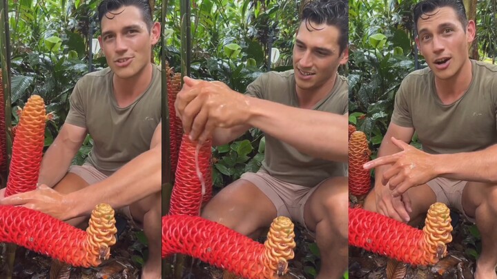 นี่กำลังทำอะไรอยู่?