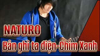 NATURO|【Bản ghi ta điện】Chim Xanh- by Vichede_B