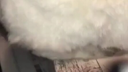 Bisakah kamu meminjamkannya padaku? aku ingin selimut