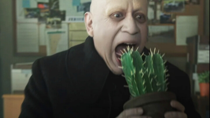 Professional advice from Uncle Fest