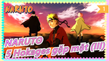 [Naruto Shippuden] Cắt đoạn Kakashi|5 Hokage gặp mặt|Naruto cầu xin Lôi Ảnh tha cho Sasuke_A
