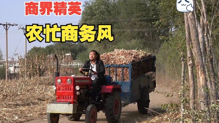 Doanh nhân thành đạt, tinh anh giới kinh doanh, phong cách công sở mùa vụ.