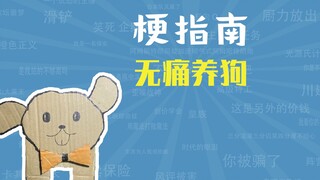无痛养狗是什么梗【梗指南】