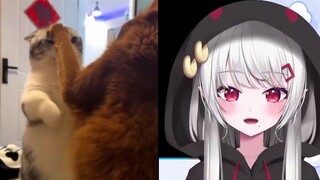 Hot girl watched the cat shaking, but she couldn't forget the brainwashing spinning cat
