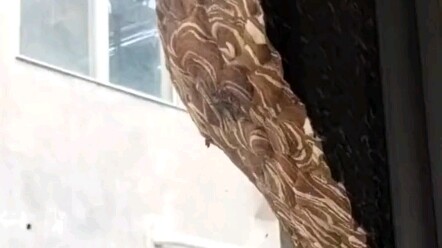 What should I do if this appears outside the window?