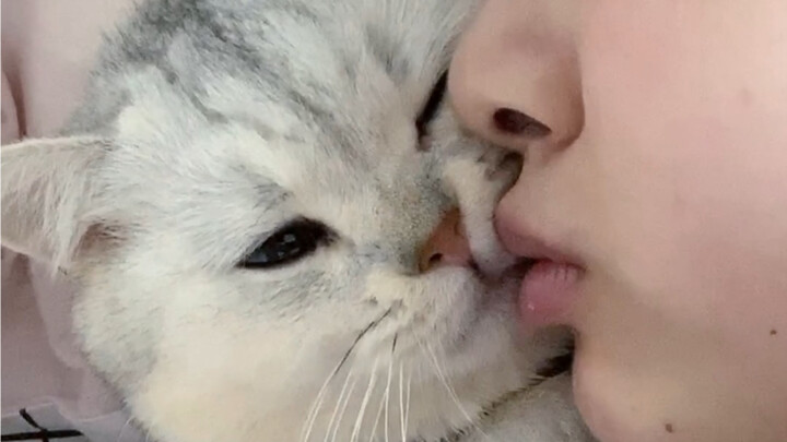 شعورك عندما تستيقظ في منتصف الليل وتجد أن قطتك الصغيرة تضمّك بذراعيها هو...