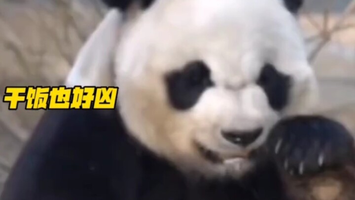 Yuan Xiao: So what if I look intimidating? If it calls for a fight, I’ll still lay into them.