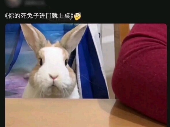 Haha, sự khác biệt trước sau của phụ huynh thật là hài hước