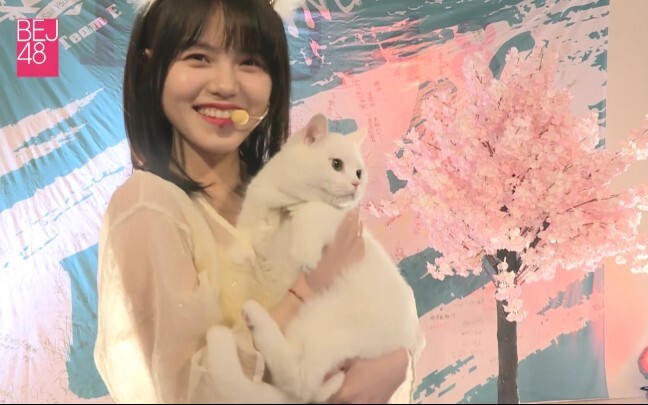 «هان جيا لي × بو تونغ» العرض الأول لمسرح هان بو تونغ! ما سبب هذه النبضات «بو تونغ بو تونغ»~